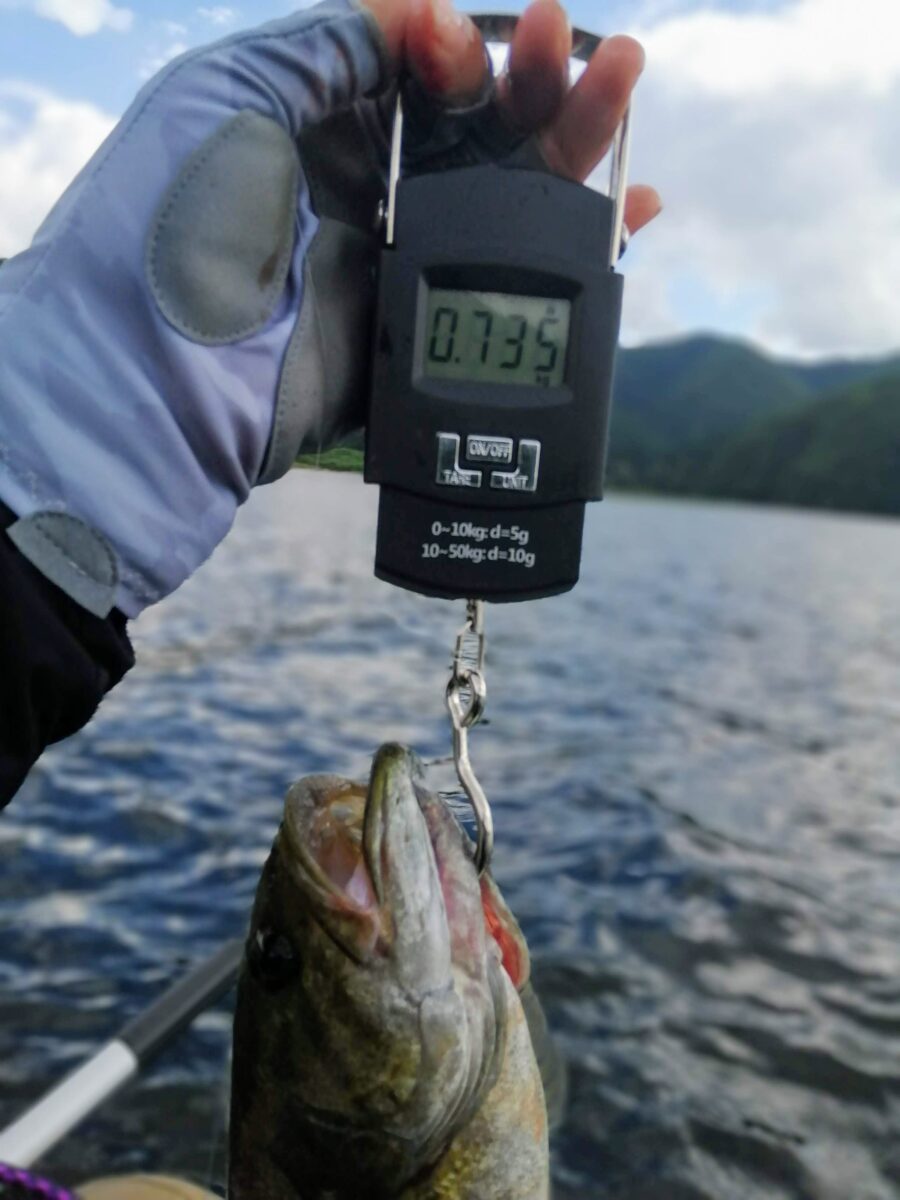 735gのスモール
