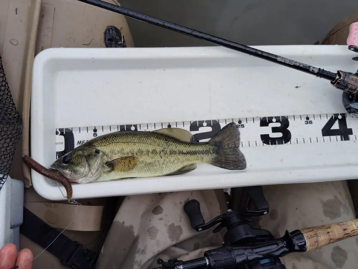 DAIWAリールのカスタム！タトゥーラのハンドルをピンクにするゴメクサス