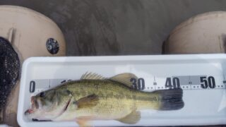 4月のバス釣り