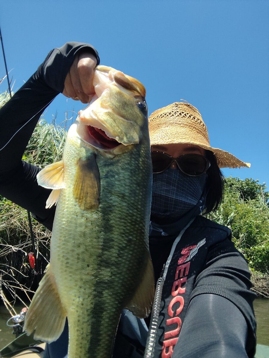 45㎝のバス