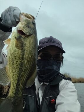 スポーニングバス