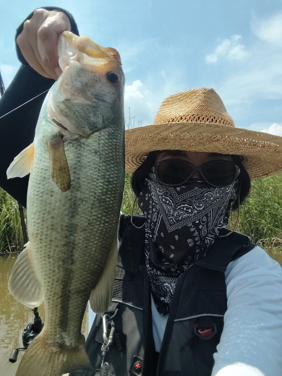 40up