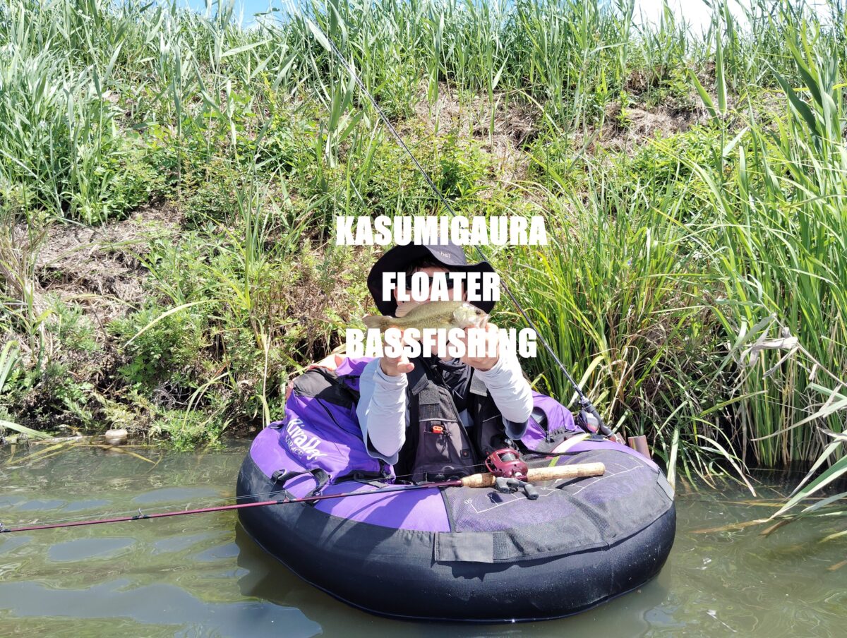 ゲストの釣果