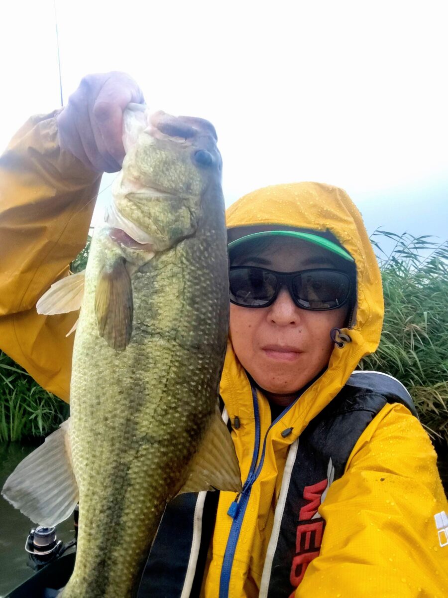 雨の釣果